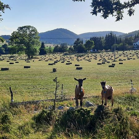 Seoski Turizam Melovic Rozanstvo Buitenkant foto