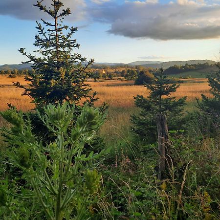 Seoski Turizam Melovic Rozanstvo Buitenkant foto