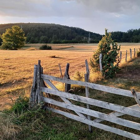 Seoski Turizam Melovic Rozanstvo Buitenkant foto