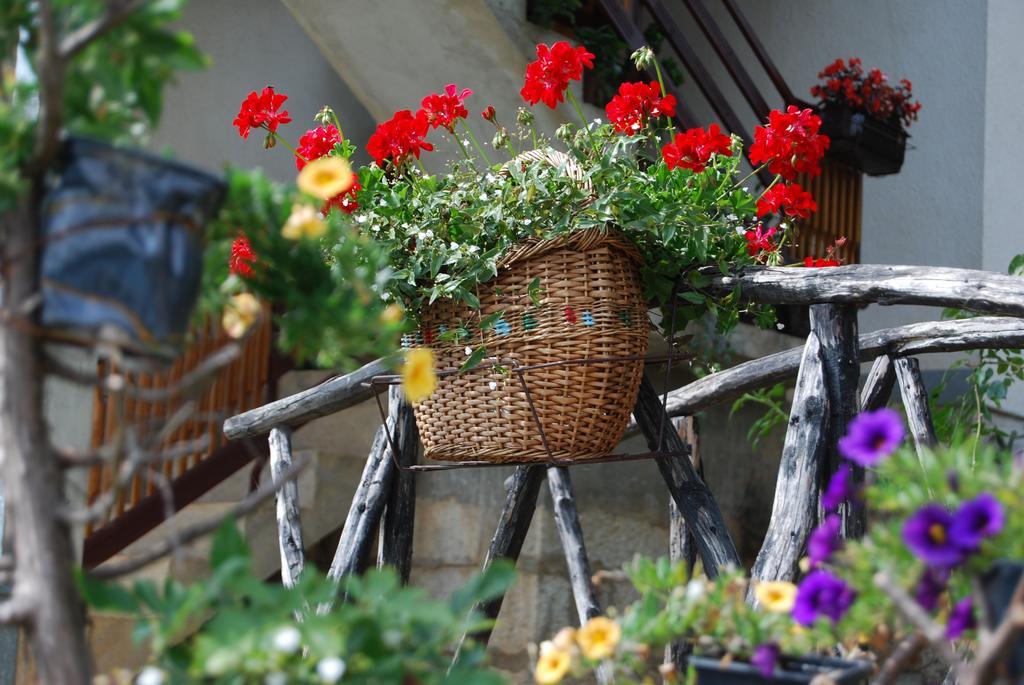 Seoski Turizam Melovic Rozanstvo Buitenkant foto